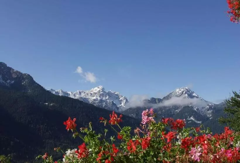 هتل Schopfenhof