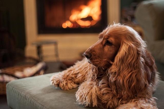 Rose E Cioccolato B&b