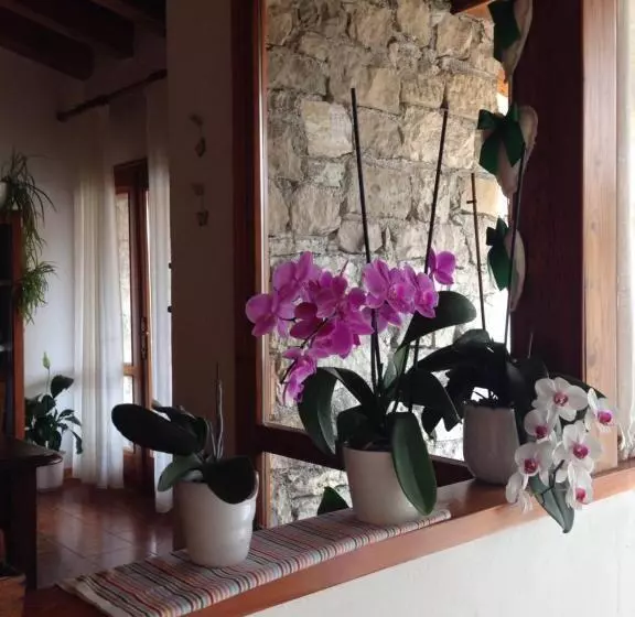 B&b Casa Lisa