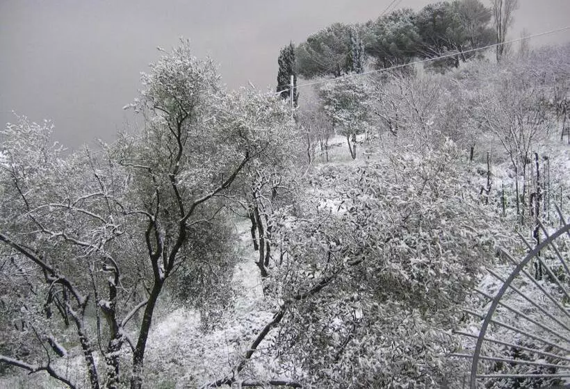 B&b Mare E Monti