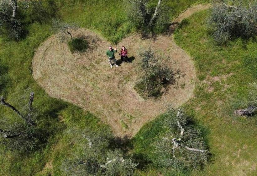 Bed and Breakfast Agriturismo Tananei