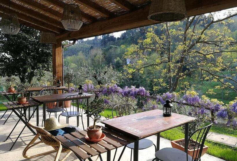 Bed and Breakfast Agriturismo Tananei