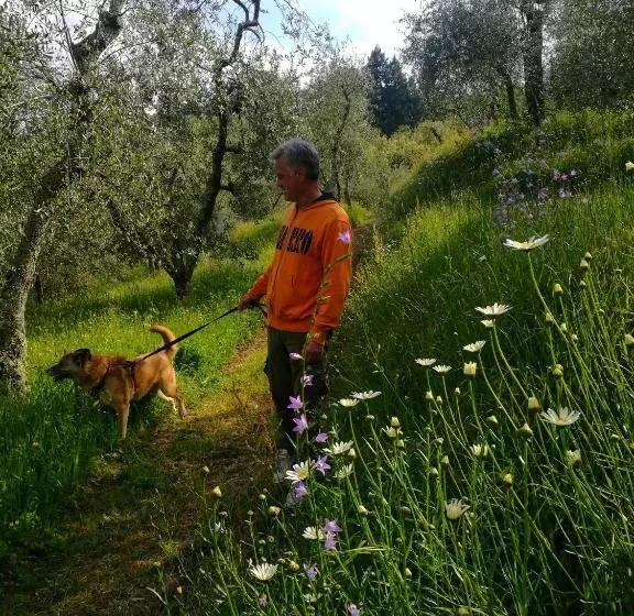 Aamiaismajoitus (B&B) Agriturismo Tananei