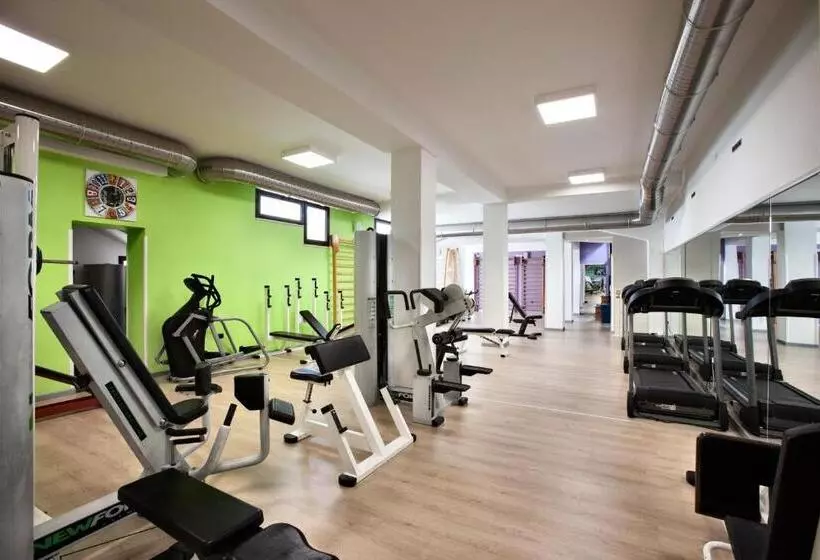 Active Life Exclusive B&b