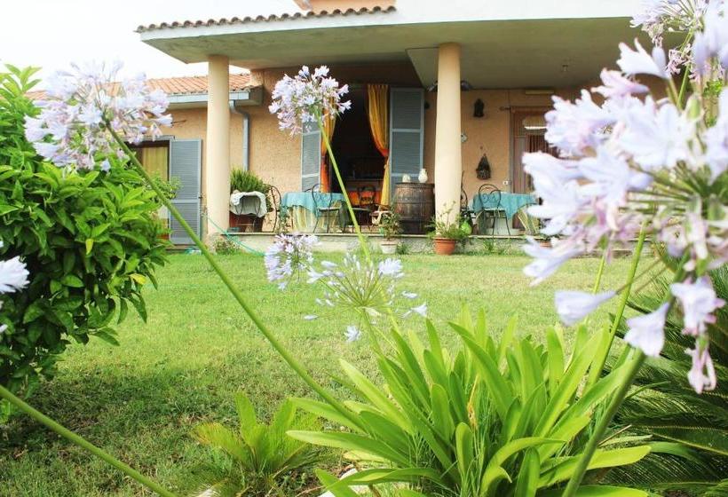 Bed and Breakfast Guest House Villa Di Judighes