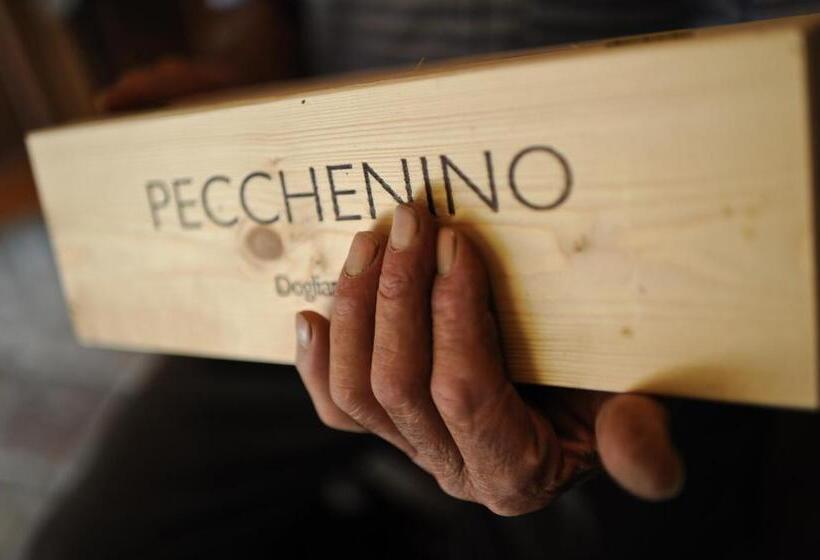 צימר Casapecchenino