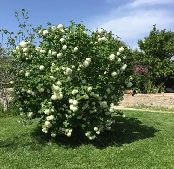 Aamiaismajoitus (B&B) I Glicini Appartamento