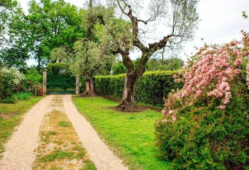 Aamiaismajoitus (B&B) I Glicini Appartamento