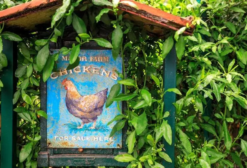 Aamiaismajoitus (B&B) I Glicini Appartamento