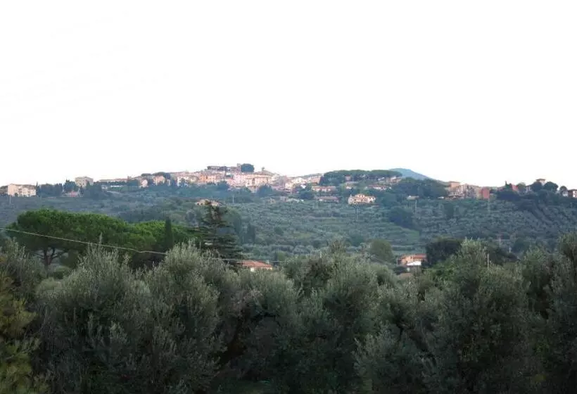 Aamiaismajoitus (B&B) I Glicini Appartamento