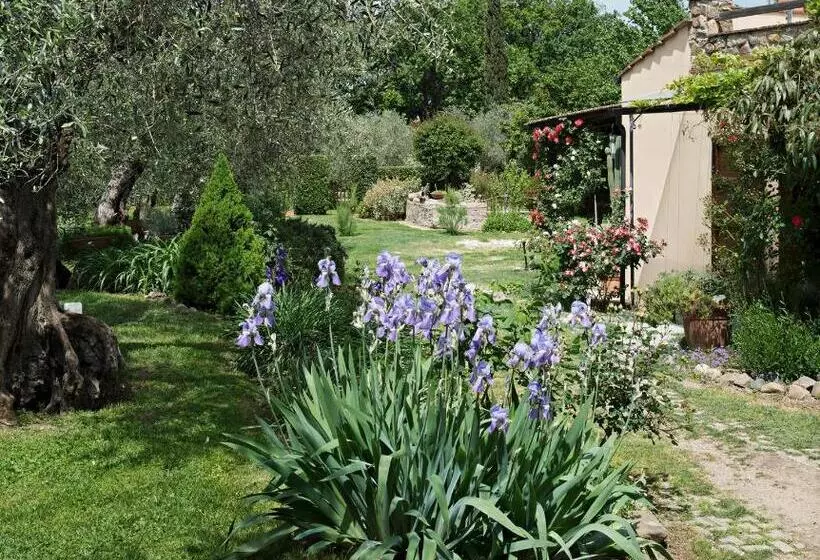 Aamiaismajoitus (B&B) I Glicini Appartamento