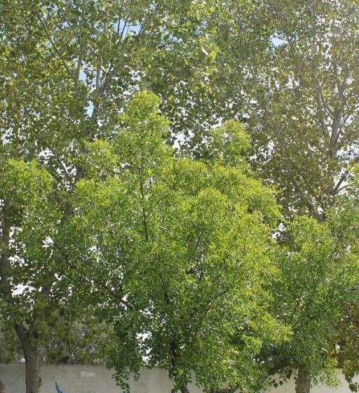 Bed and Breakfast La Petrusa