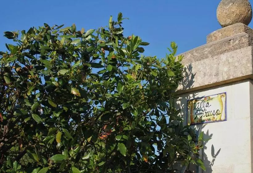 Aamiaismajoitus (B&B) La Petrusa