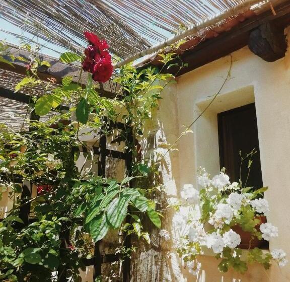 Bed and Breakfast La Petrusa