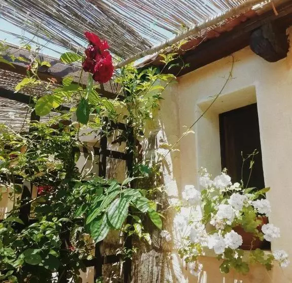 Aamiaismajoitus (B&B) La Petrusa