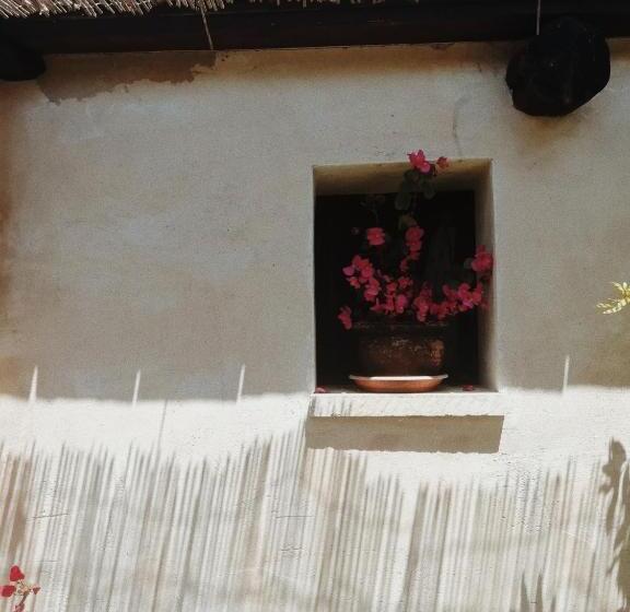 Bed and Breakfast La Petrusa