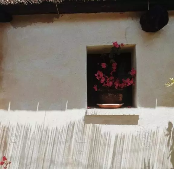 Aamiaismajoitus (B&B) La Petrusa