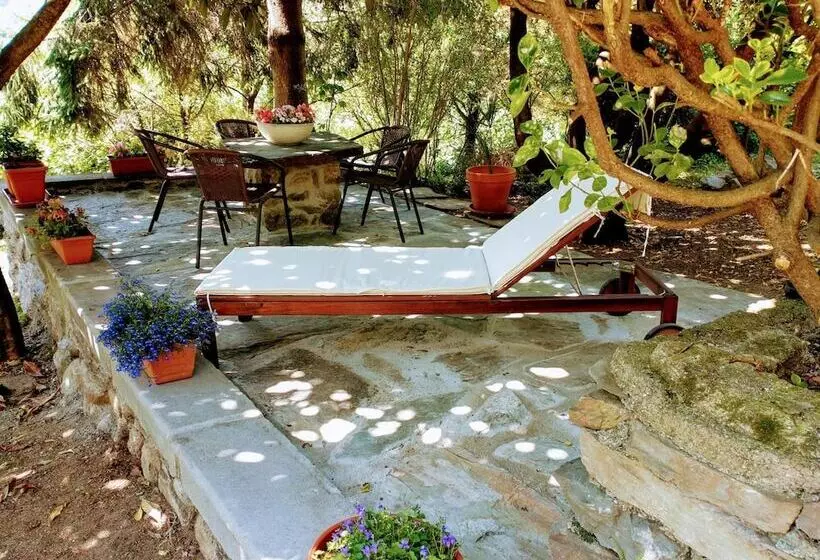 Casa Visnenza Bed & Breakfast