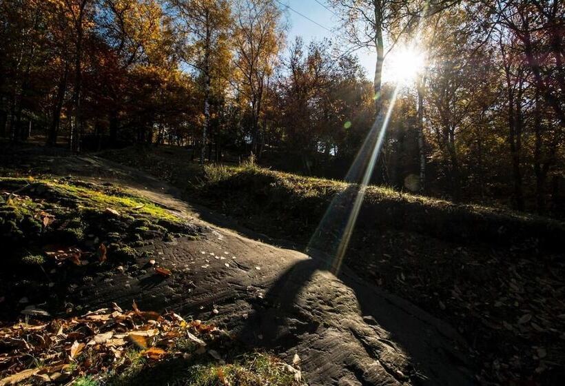 Casa Visnenza Bed & Breakfast