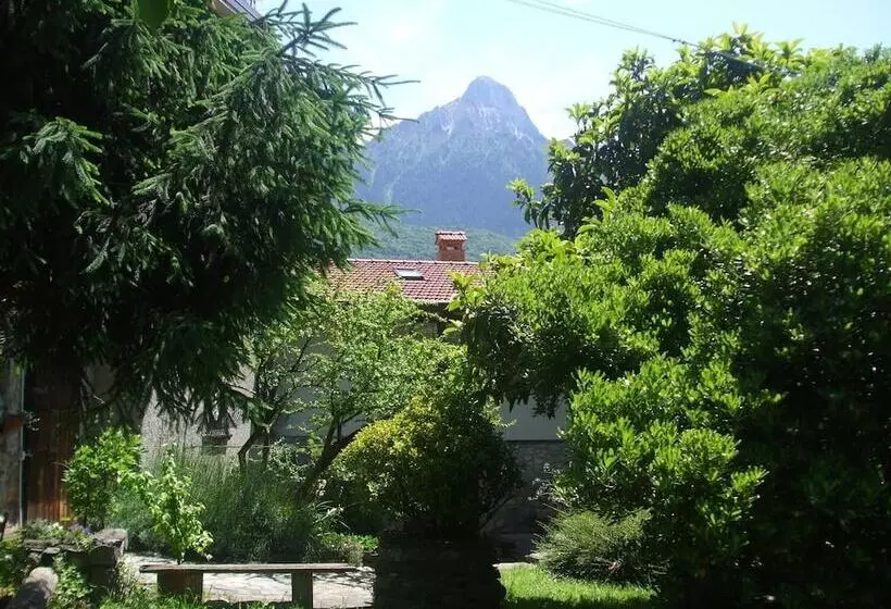 Casa Visnenza Bed & Breakfast