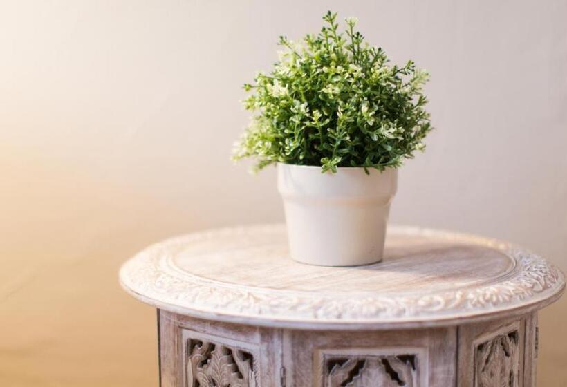 בית מלון כפרי 1920 Maison Et Musique