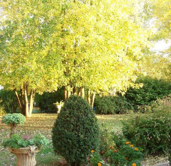 La Corte Del Cavaliere Bed & Breakfast