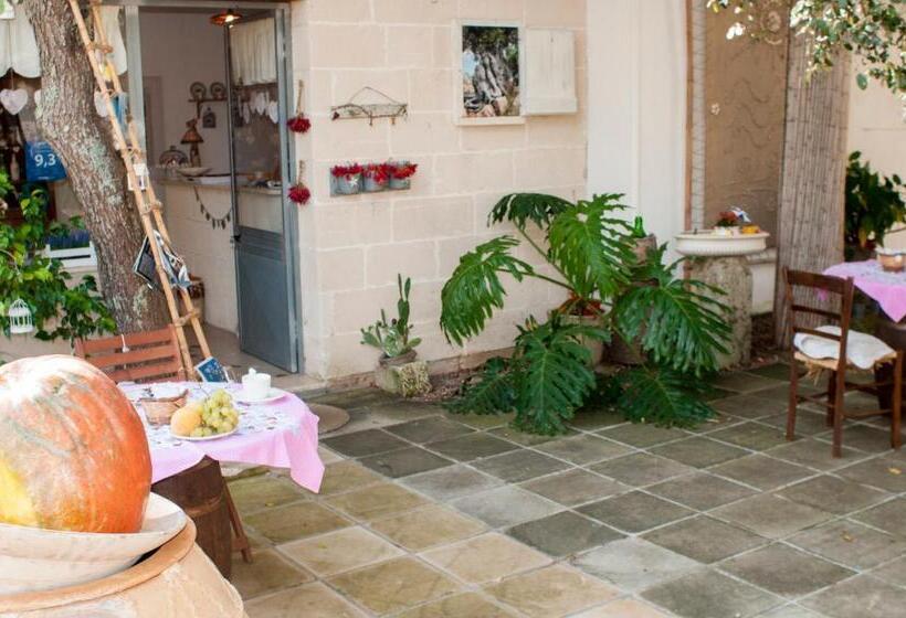 Alba Bed & Breakfast