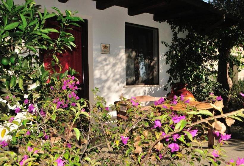 Alba Bed & Breakfast