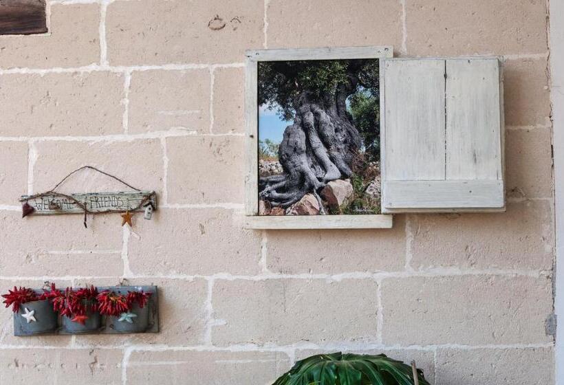 Alba Bed & Breakfast