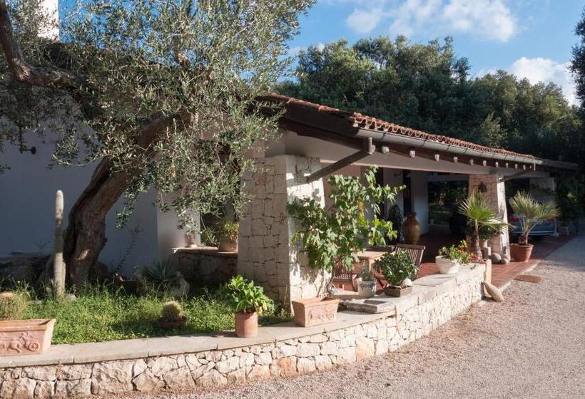 Alba Bed & Breakfast