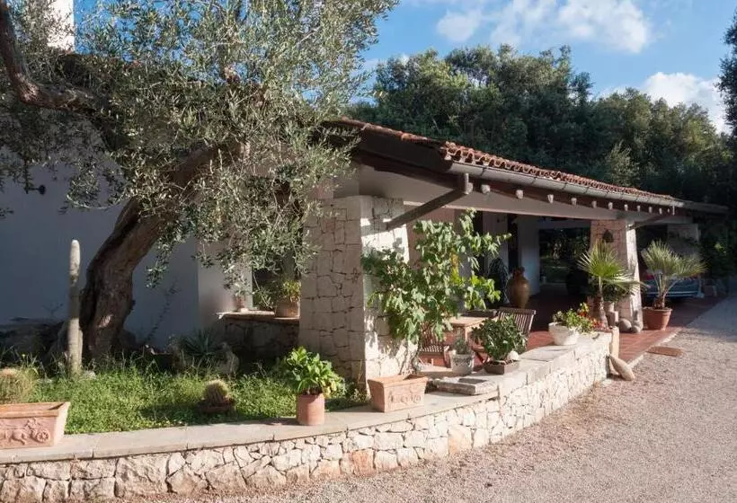 Alba Bed & Breakfast