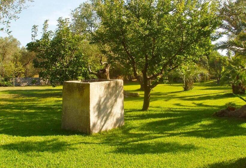 Alba Bed & Breakfast