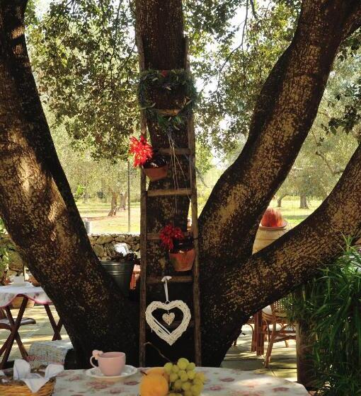 Alba Bed & Breakfast