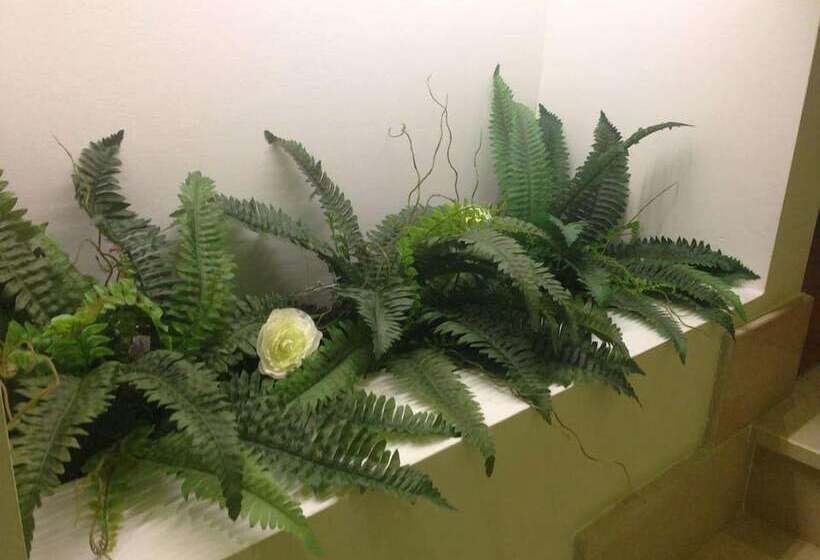 B&b Il Quadrifoglio Tropea