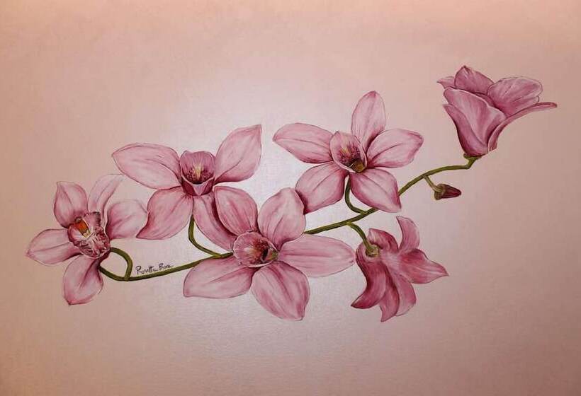 B&b Il Quadrifoglio Tropea