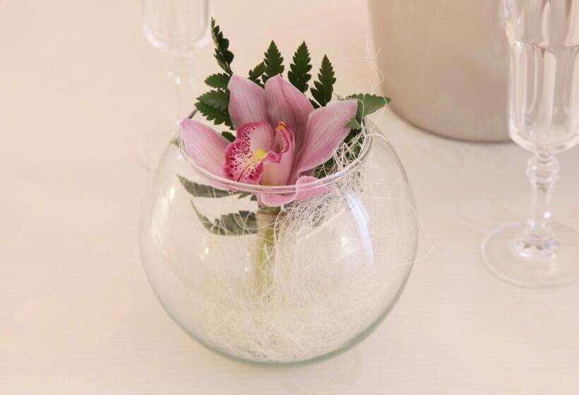 B&b Il Quadrifoglio Tropea