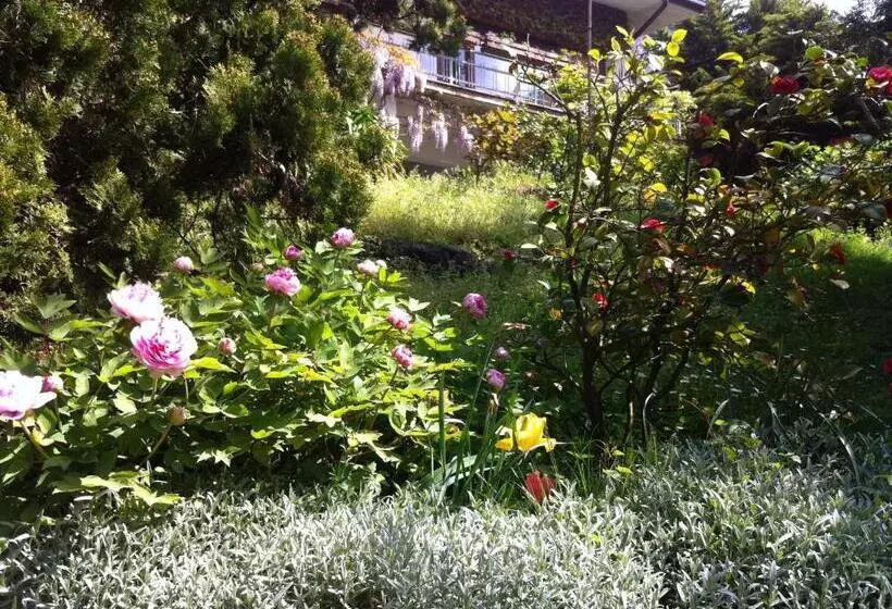 B&b Le Ortensie  Lago Di Como