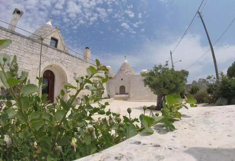 B&b Via Dei Trulli