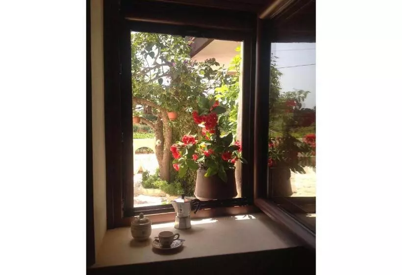 B&b Via Dei Trulli