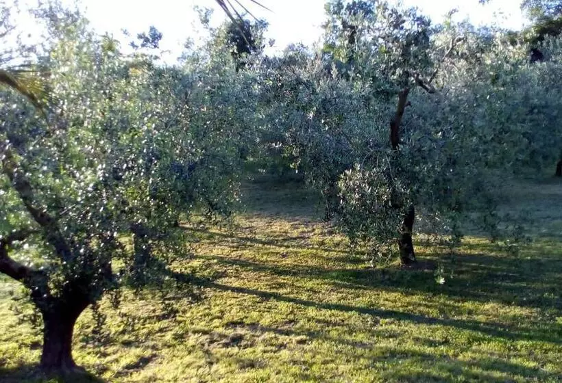 Aamiaismajoitus (B&B) Bigotti