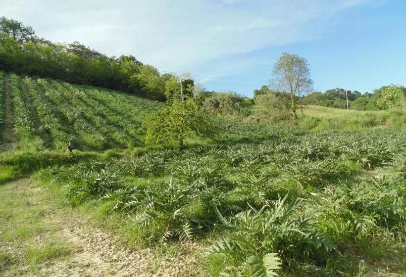 Aamiaismajoitus (B&B) Bigotti