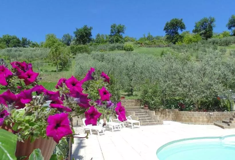 Aamiaismajoitus (B&B) Bigotti