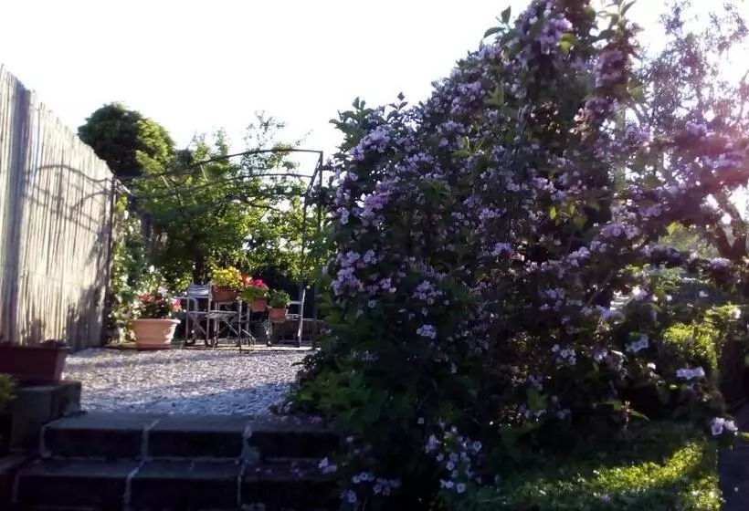 Aamiaismajoitus (B&B) Bigotti