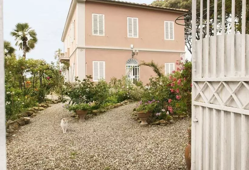 تختخواب و صبحانه Villa Cassuto Maison De Charme