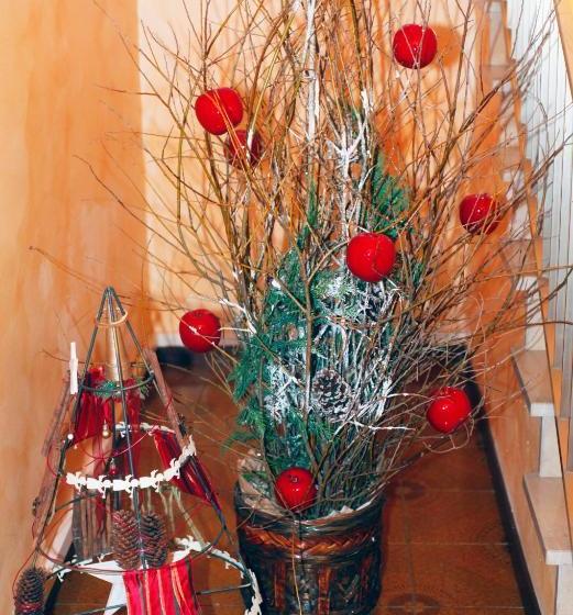 Bed & Breakfast Don Carlos