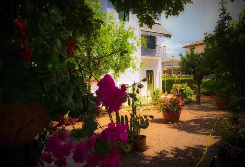 Bed & Breakfast Don Carlos