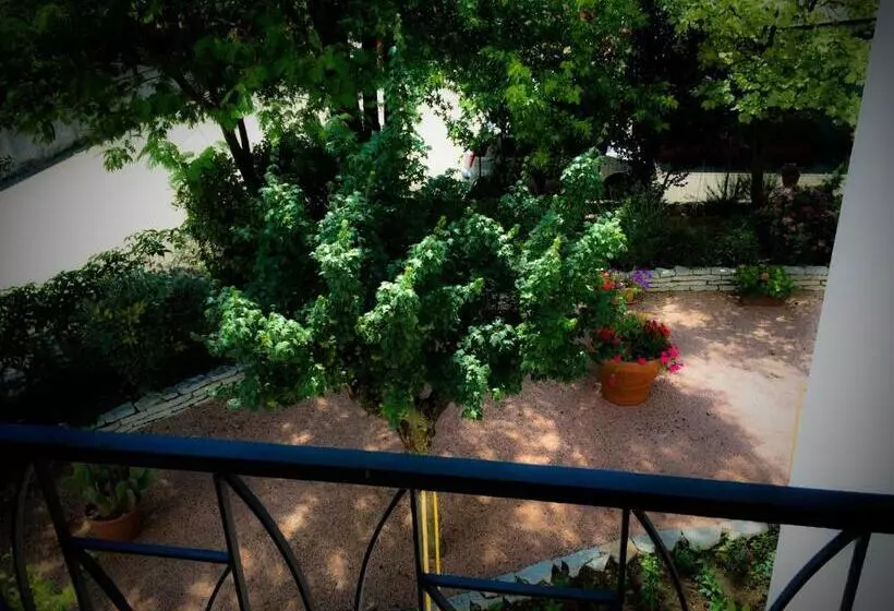 Bed & Breakfast Don Carlos