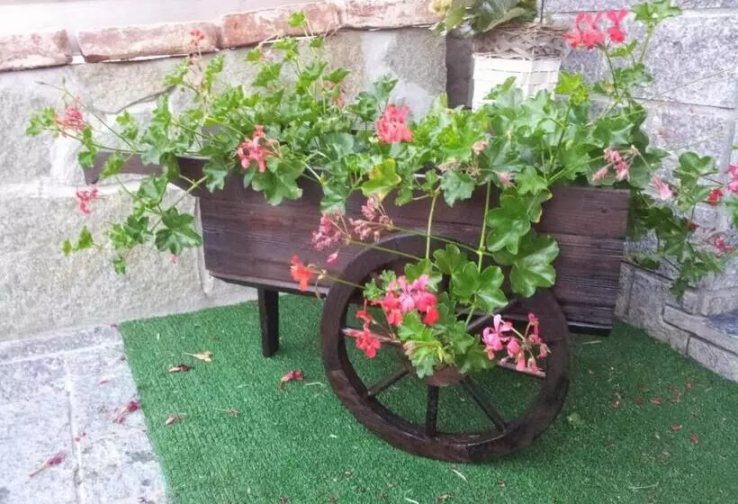 Caicai Bed And Breakfast