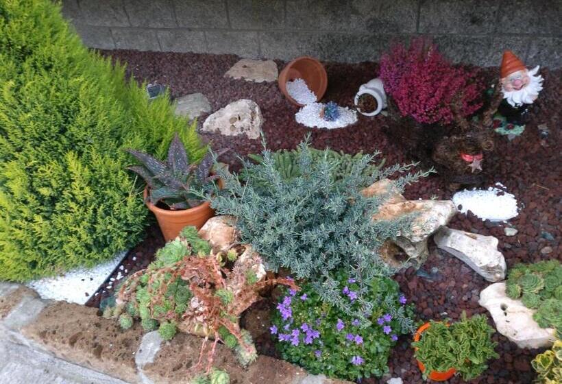 Caicai Bed And Breakfast