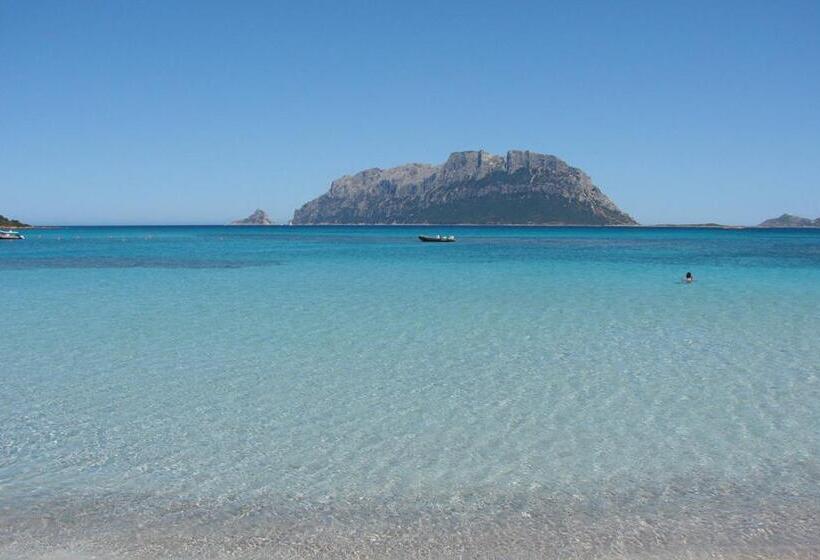 Good Vibe Sardinia B&b